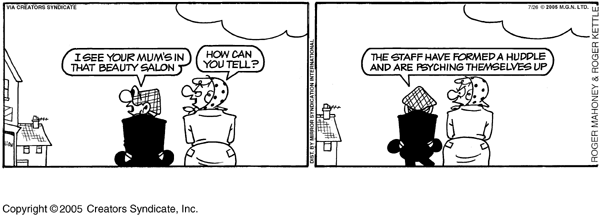 andycapp